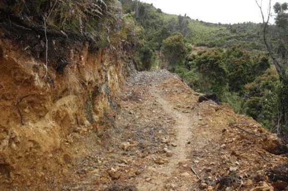 Camino de herradura