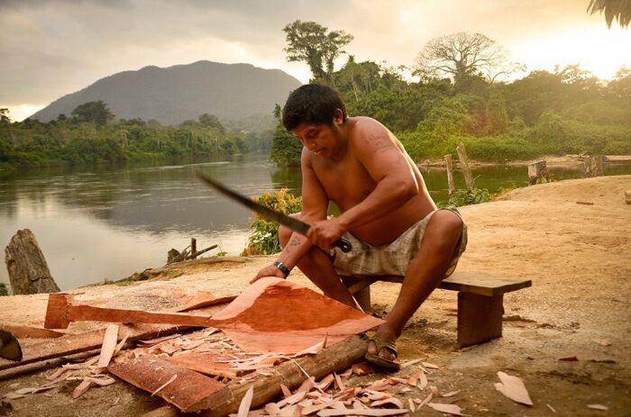 Las comunidades indgenas en el amazonas realizan sus propias embarcaciones para movilizarse a travs de los ros Nichare, Icut. Esta es una muestra de la elaboracin de los canaletes para el paleo (remado) en las embarcaciones