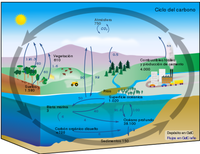 Este diagrama del ciclo de carbono muestra el depsito e intercambio anual de carbono entre la atmsfera, la hidrsfera y la geosfera en gigatones - o miles de millones de toneladas - de carbono (GtC). La quema de combustibles fsiles por la humanidad aade alrededor de 5.5 GtC de carbono anual a la atmsfera.