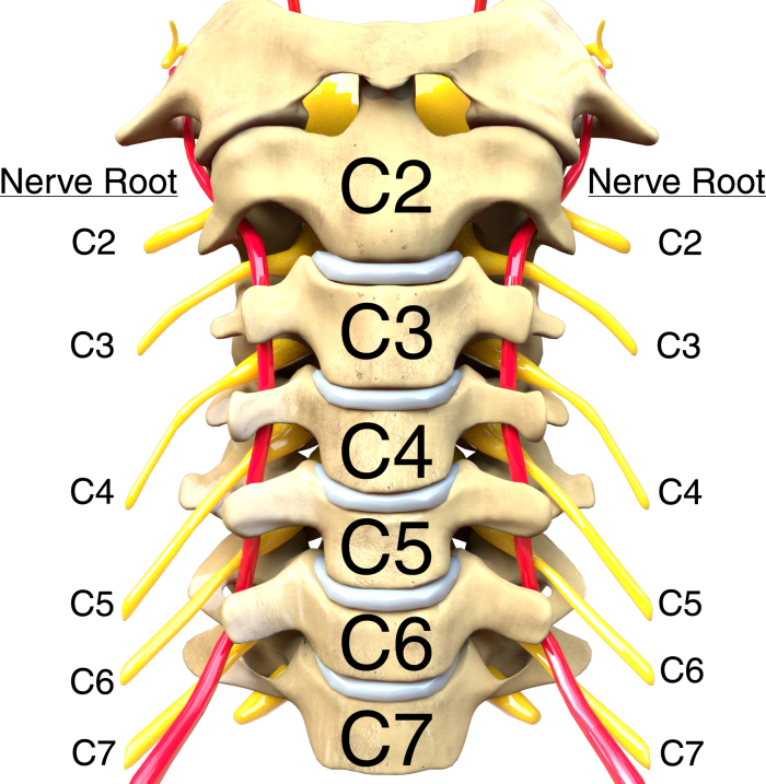 Cervical