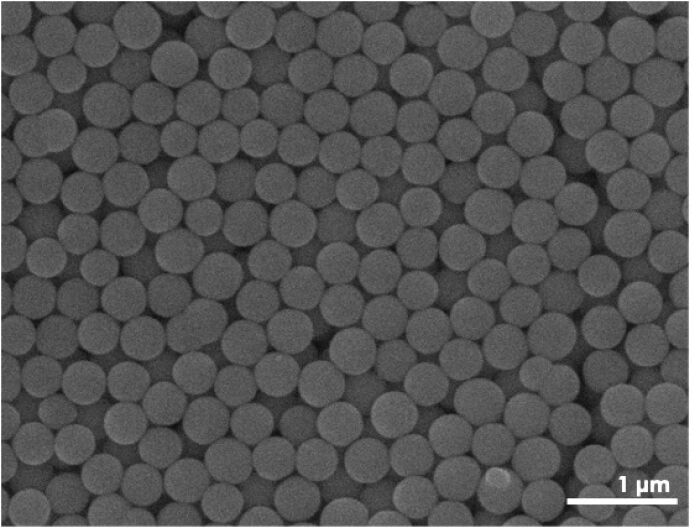 Imagen de partculas coloidales obtenida con un microscopio electrnico de barrido. Sntesis realizada por el Dr. Iotzin Ros de Anda e imagen tomada por el Dr. Jean-Charles Eloi en la Unidad de Microscopa Electrnica y de Sonda de Barrido de la Universidad de Bristol.