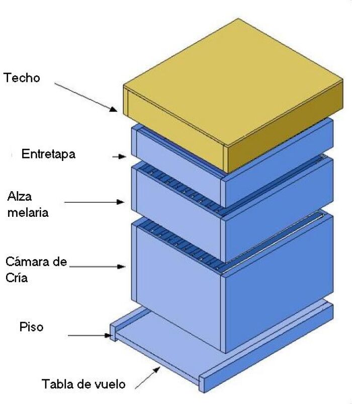 Esquema de una colmena artificial