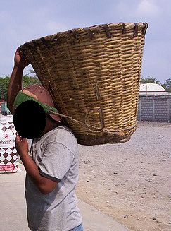 Canasto de forma cilndrica que por lo general se lleva en la espalda sostenido por una cuerda desde la cabeza