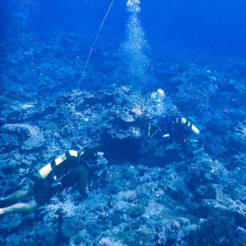 Buzos instalan instrumentos de monitoreo en arrecifes de corales