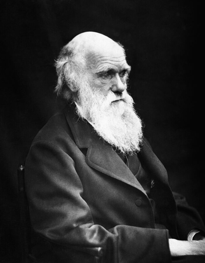 Charles Darwin: seleccin natural