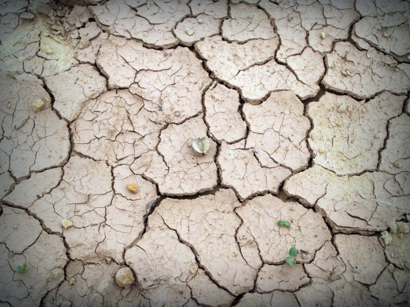 La desecacin del suelo por una extrema falta de agua.