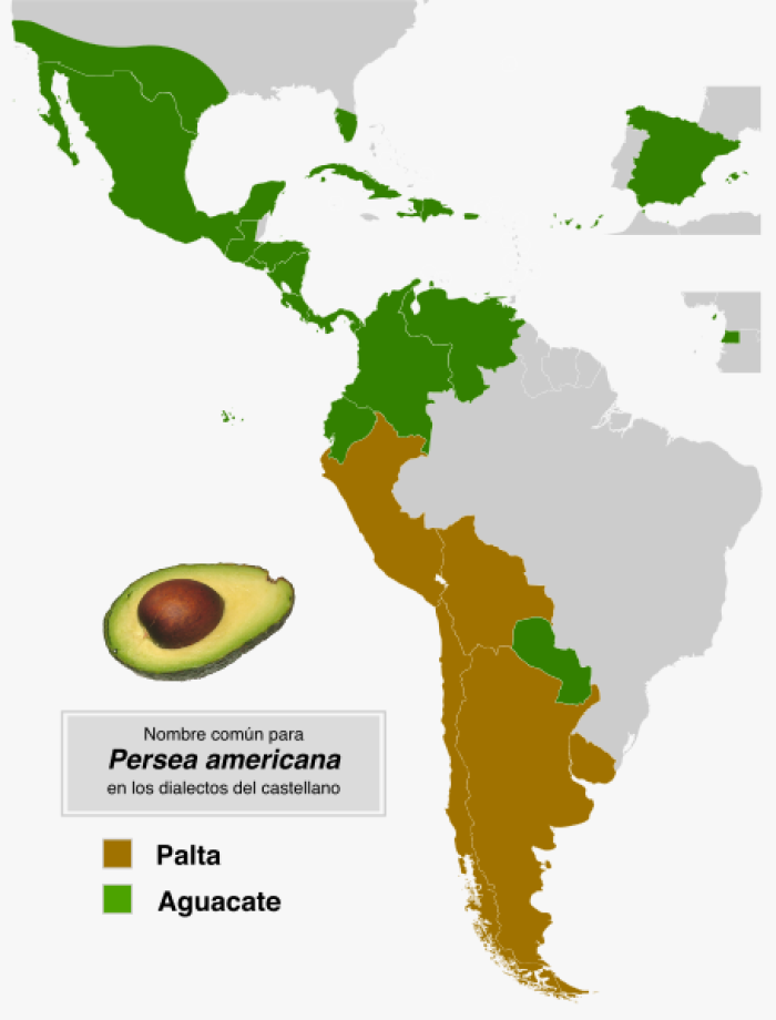 Nombre comn para Persea americana en los diferentes dialectos del castellano