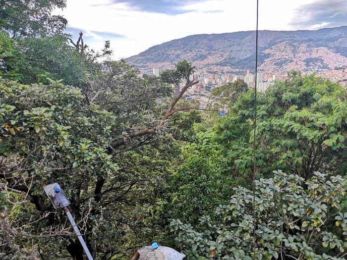 Dosel arbreo desde el Museo de la Ciudad, Cerro Nutibara (Medelln)