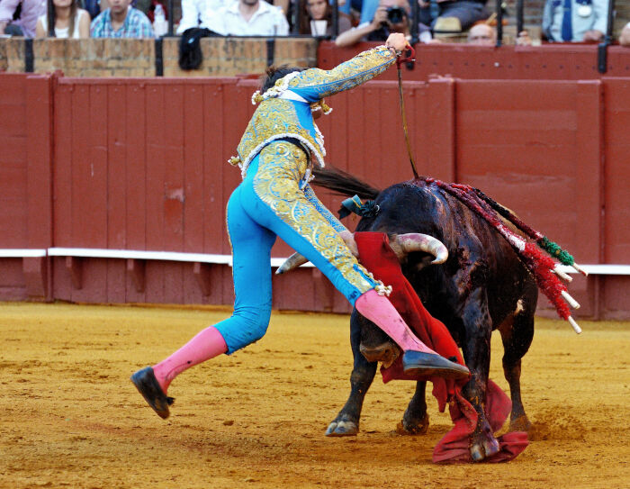 En la tauromaquia, estocada es el golpe final que da el torero para matar al toro