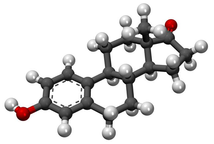 estrona