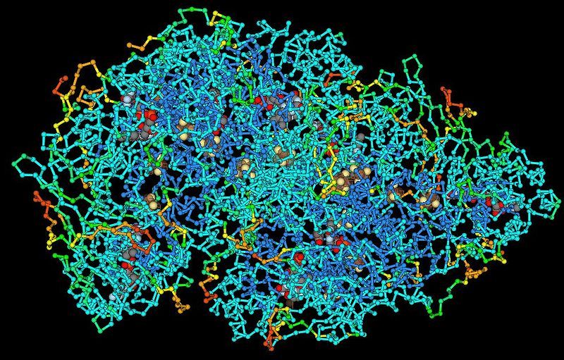 Estructura qumica de una macromolcula de polipptido.