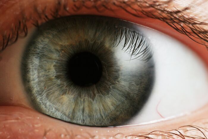 La complejidad del ojo suele usarse como argumento para defender el Diseo inteligente