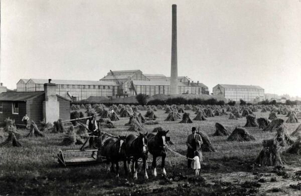 En el fondo, una fbrica que es parte de la actividad econmica secundaria y que emplea la materia prima del sector primario que puede verse ms cerca en la foto