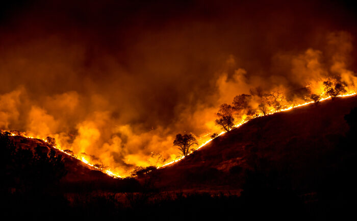 n bosque seco es un ambiente altamente incendiable