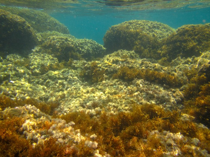 Fondo del mar.