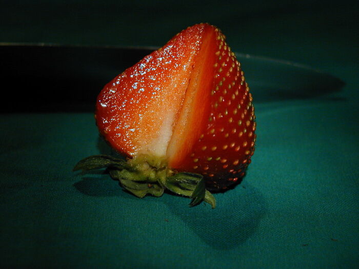 El cuerpo carnoso de la fresa est formado por el receptculo floral (induvia hipertrofiada bajo el efecto de las auxinas)