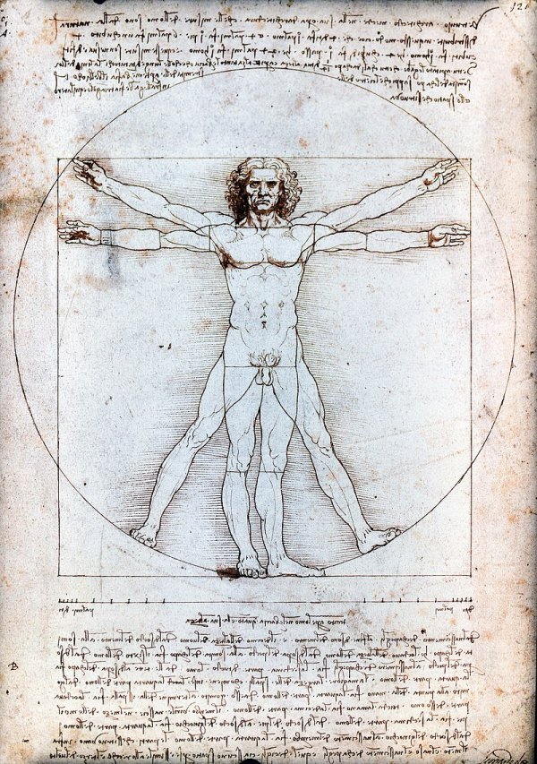 El Hombre de Vitruvio o Estudio de las proporciones ideales del cuerpo humano. Famoso dibujo acompaado de notas anatmicas de Leonardo da Vinci realizado alrededor de 1490. Representa una figura masculina desnuda en dos posiciones sobreimpresas de brazos y piernas e inscrita en una circunferencia y un cuadrado (Ad quadratum).