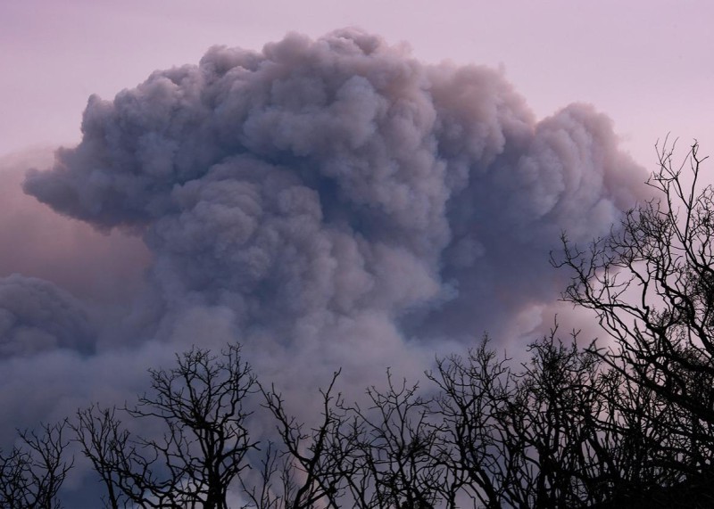 Humareda de un incendio forestal.