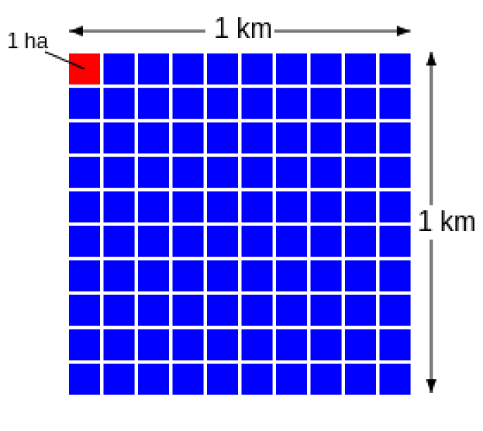 Una hectrea (ha) dentro de un kilmetro cuadrado
