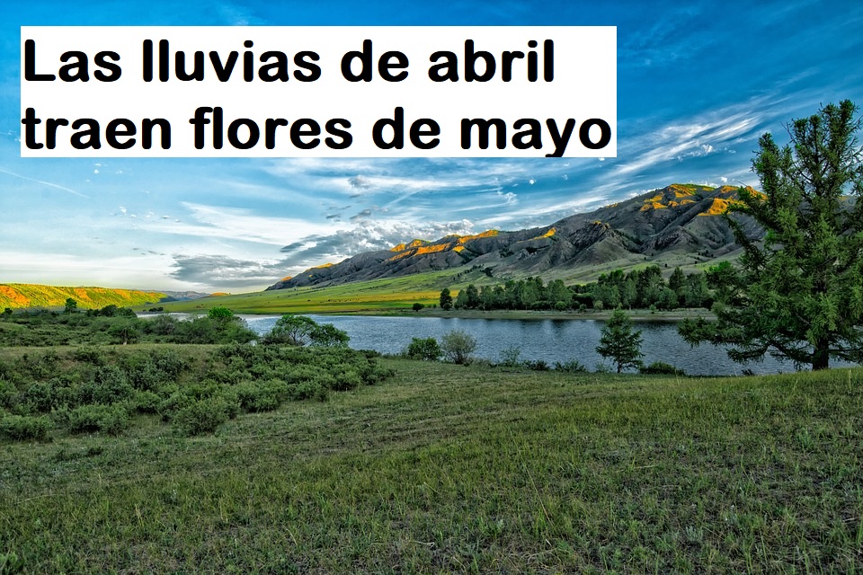 Frase proverbial: Las lluvias de abril traen flores de mayo