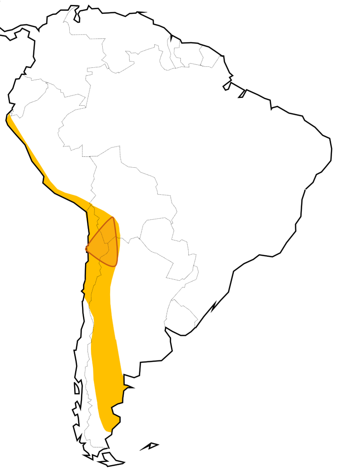 Presencia de litio en Latinoamrica