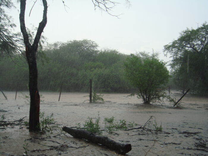 lluvia torrencial