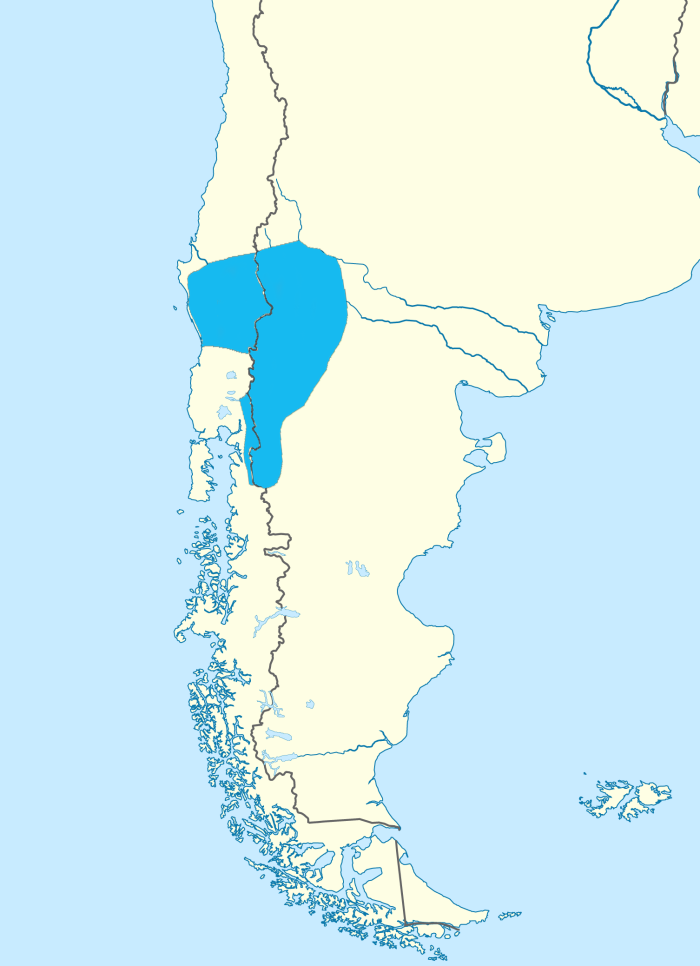 Mapa donde se habla mapuche en la actualidad