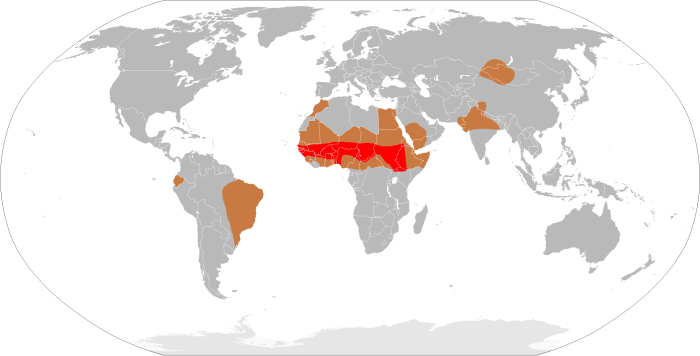 Mapa del cinturn de meningitis (en rojo) y regiones de alto riesgo de epidemias (marrn). Todas las dems regiones pueden tener una menor incidencia de brotes y casos espordicos.