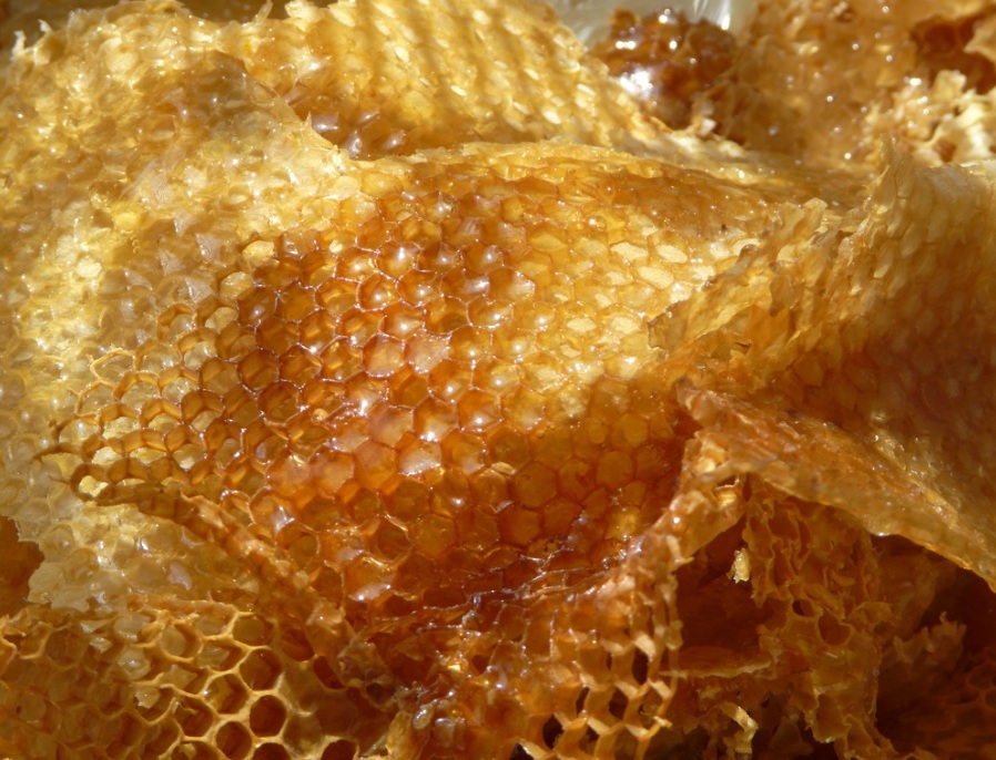 Extracción de miel