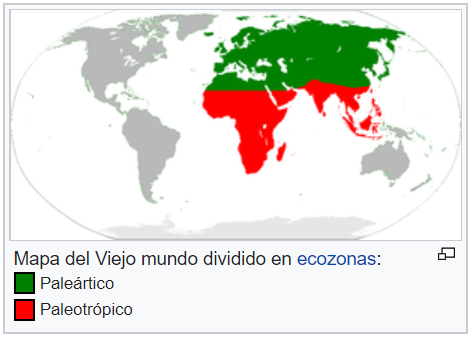 Mundo antiguo o viejo mundo