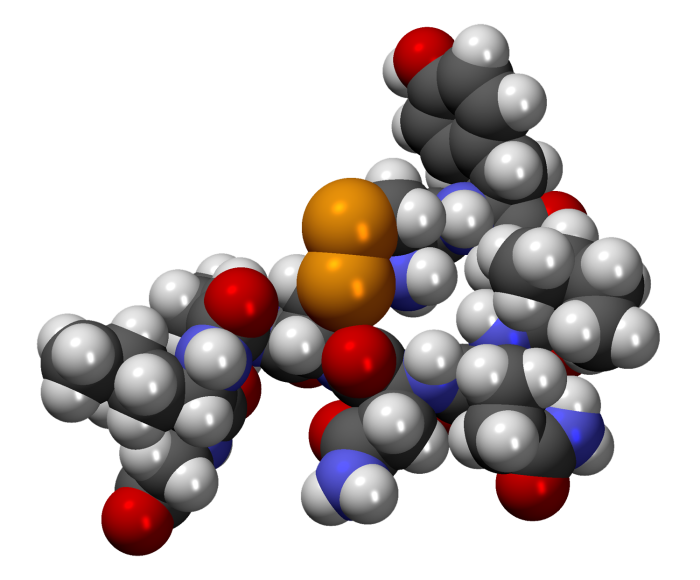 Oxitocina: imagen en 3d