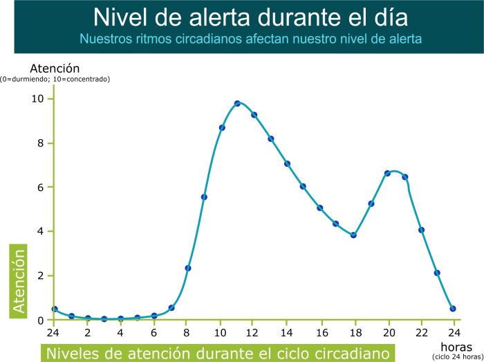 Nivel de atencin durante el ritmo circadiano