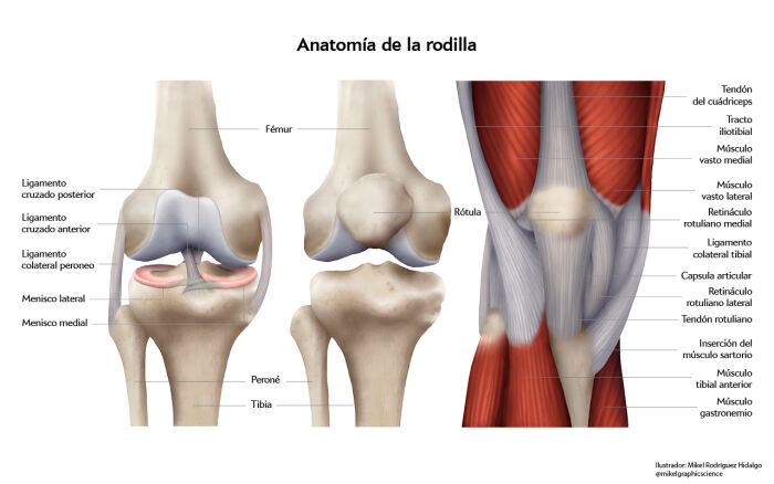 Rodilla