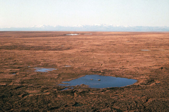 Tundra en Alaska