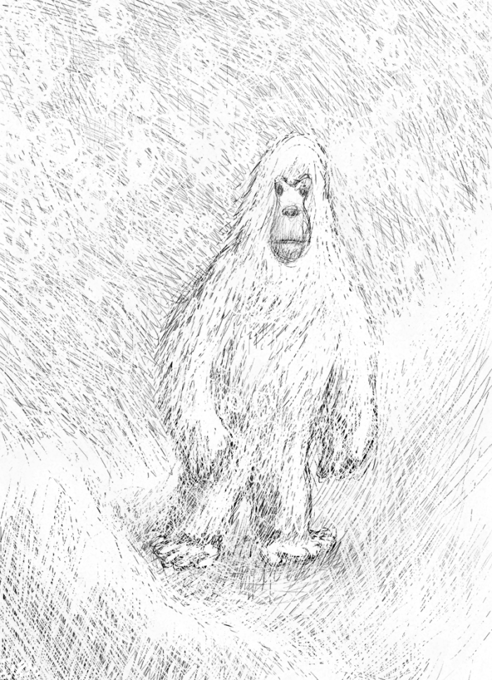 Yeti