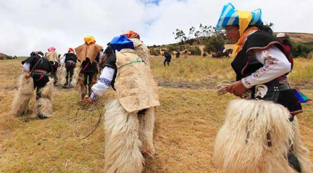 Indgenas que visten el zamarro en la celebracin del Jawai Caari (cosecha de trigo).