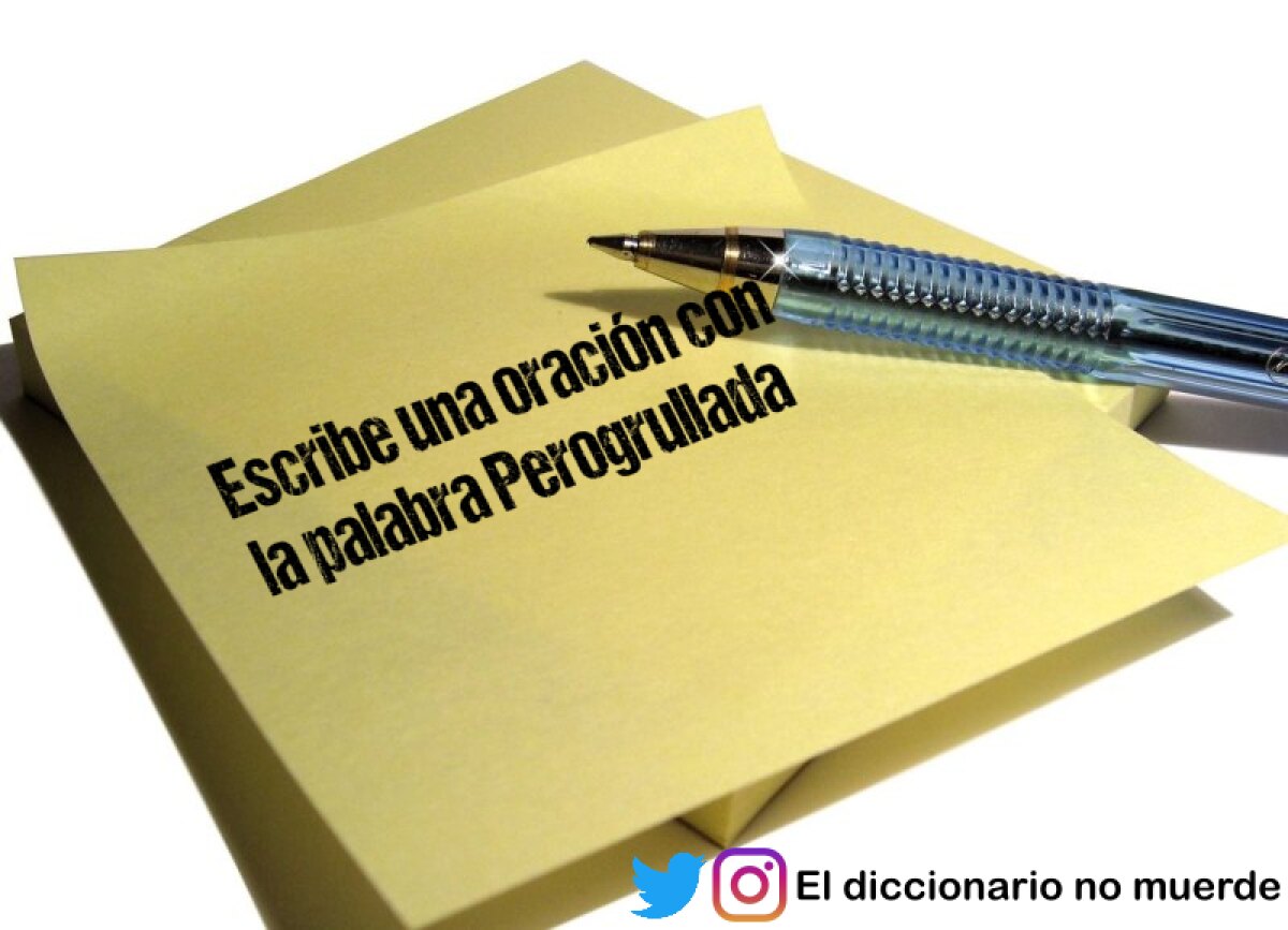 Escribe una oración con la palabra Perogrullada