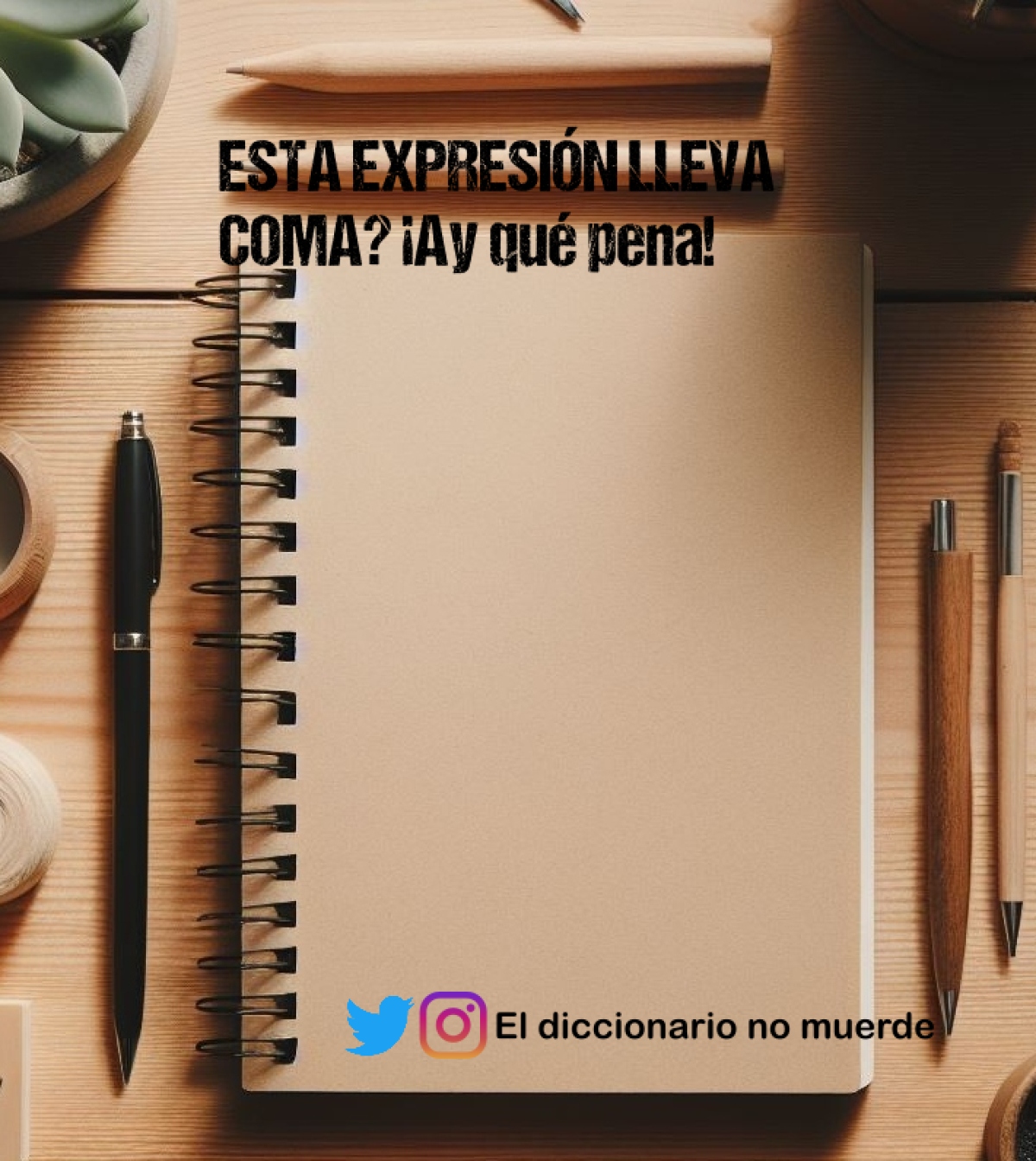 ESTA EXPRESIÓN LLEVA COMA? ¡Ay qué pena!