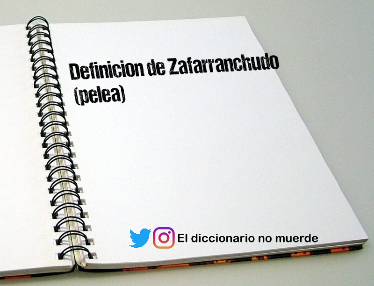 Definicion de Zafarranchudo (pelea) 