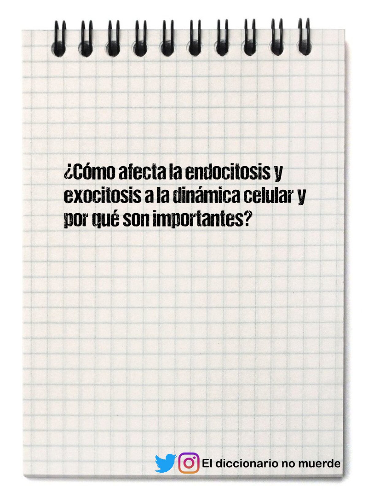 ¿Cómo afecta la endocitosis y exocitosis a la dinámica celular y por qué son importantes?