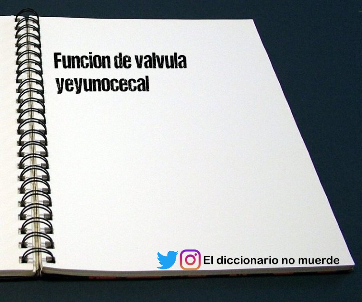 Funcion de valvula yeyunocecal