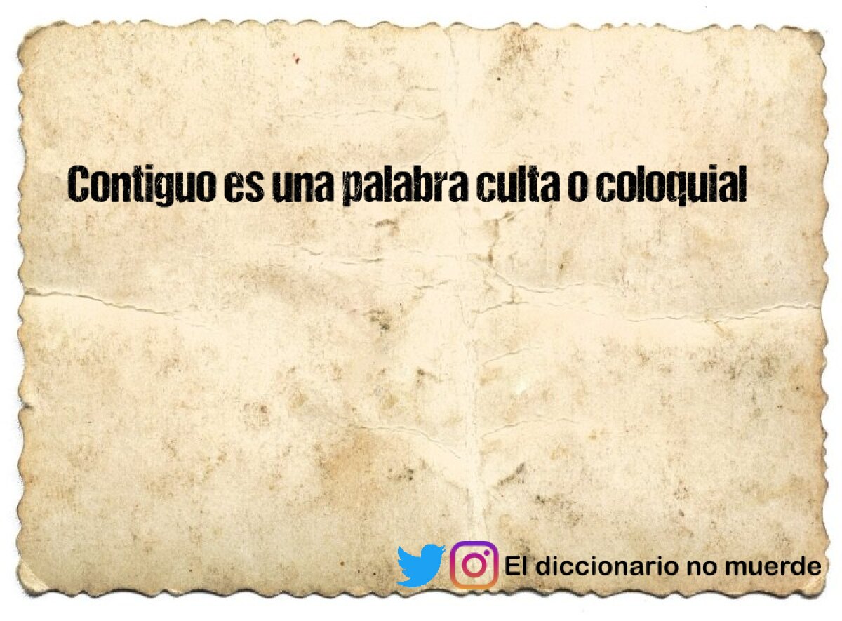 Contiguo es una palabra culta o coloquial