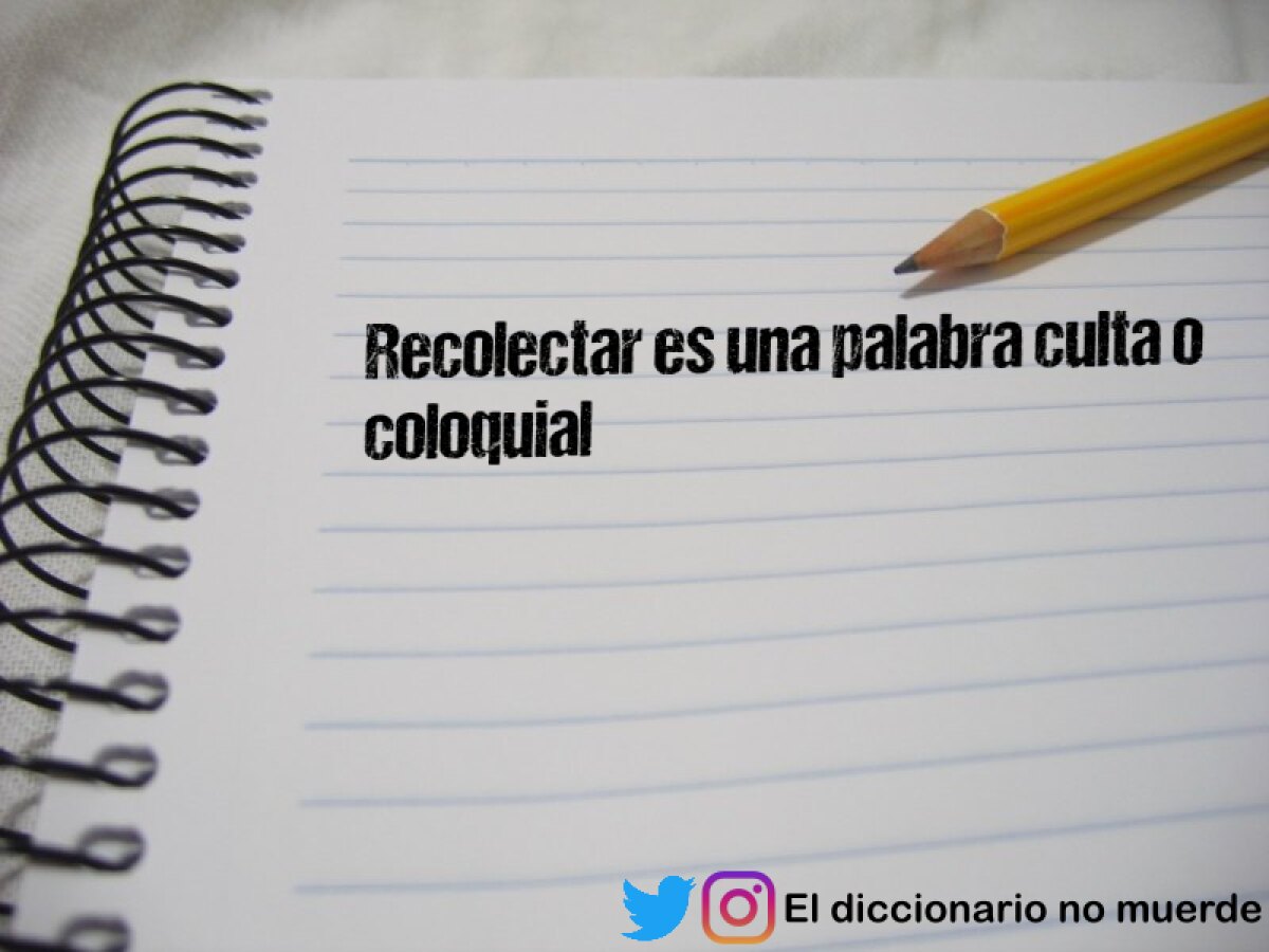 Recolectar es una palabra culta o coloquial