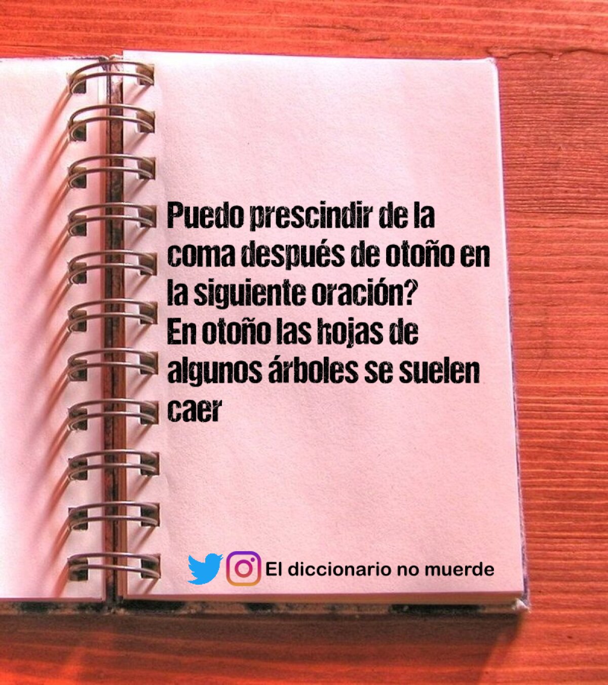 Puedo prescindir de la coma después de otoño en la siguiente oración?
En otoño las hojas de algunos árboles se suelen caer