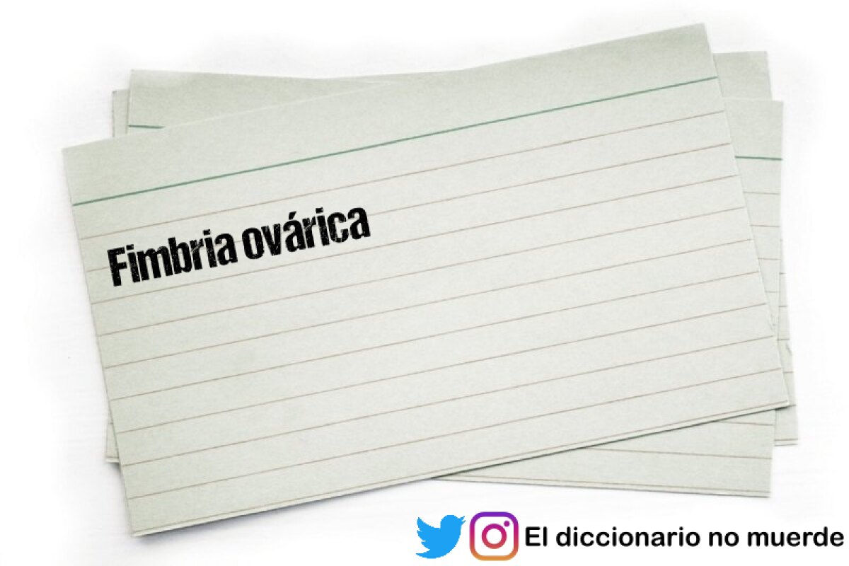 Cómo se desarrolla el aprendizaje basado en retos