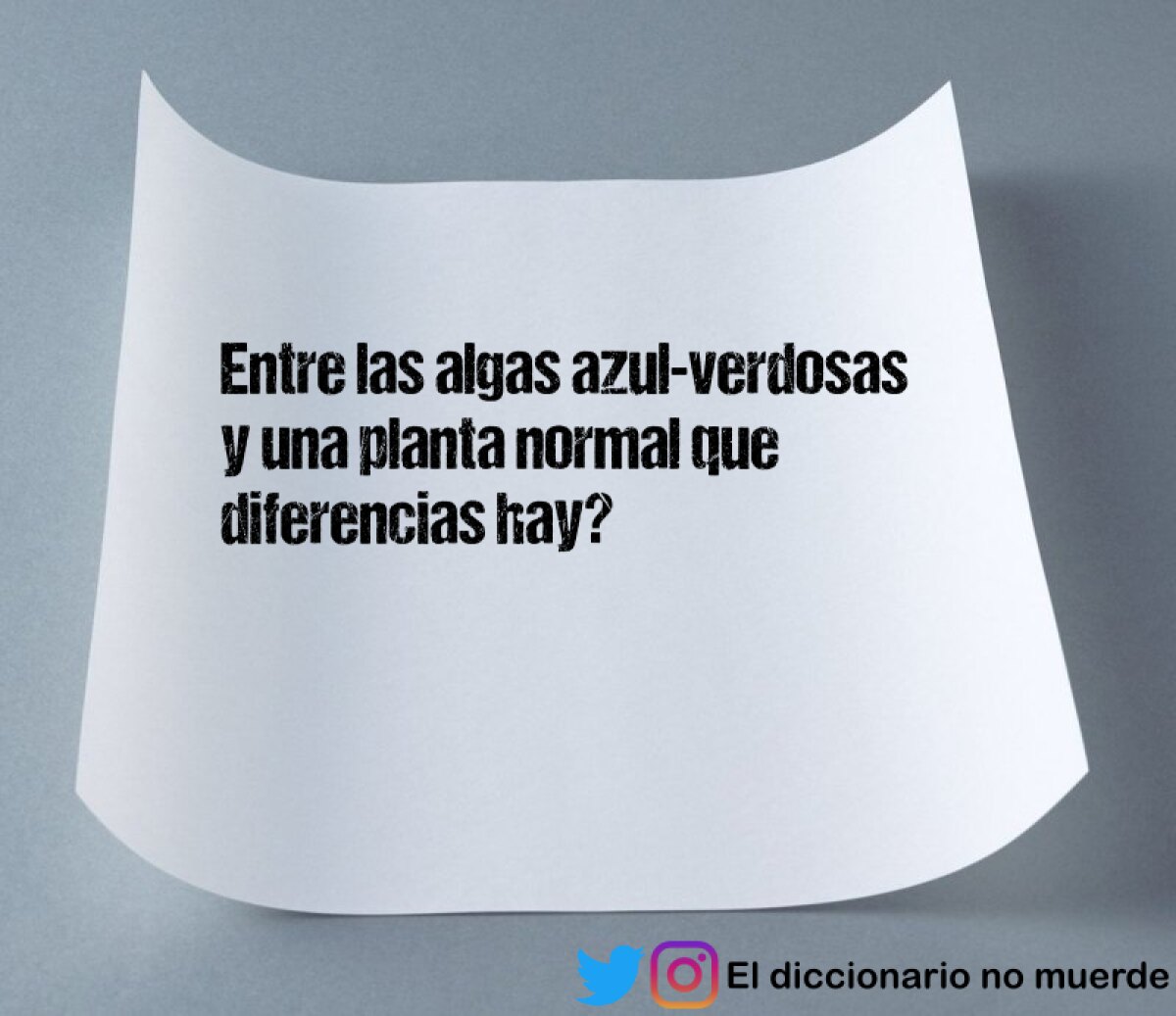 Que es el dumping