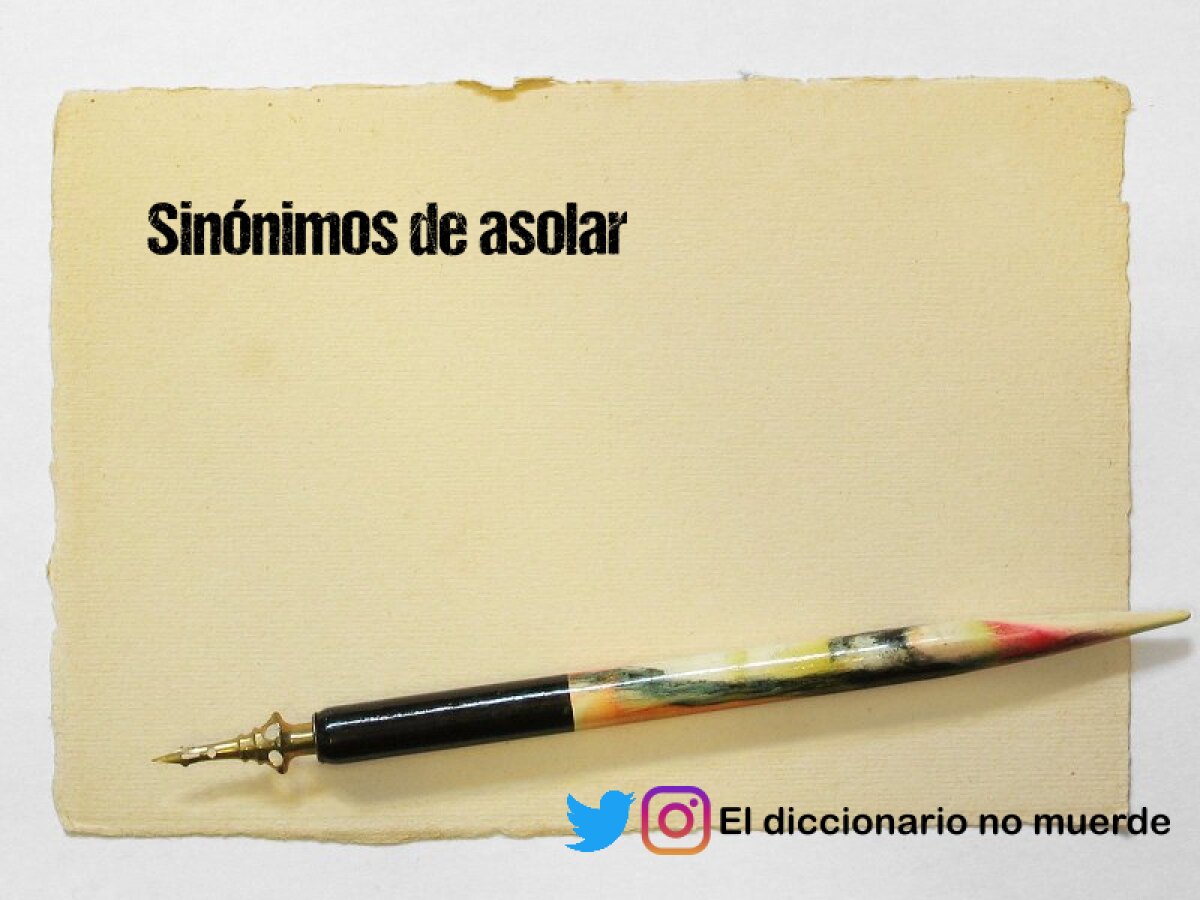 ¿Cuáles son los macronutrientes esenciales para una alimentación adecuada en adultos?