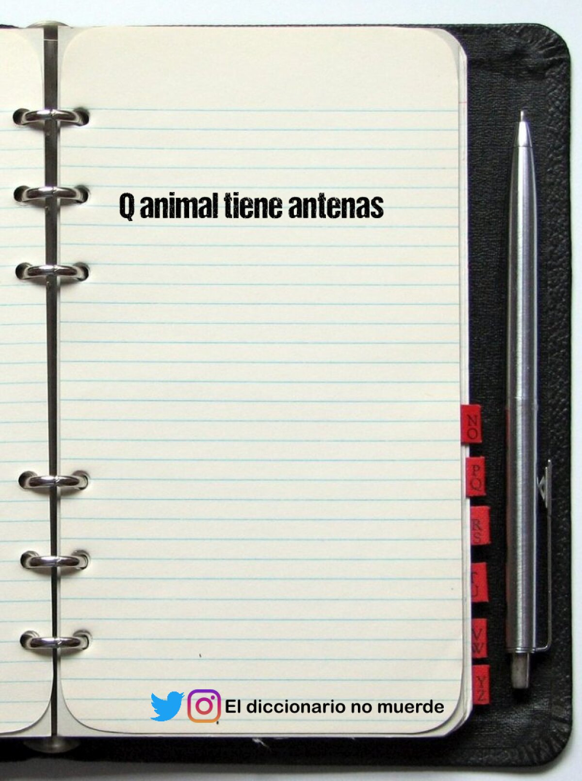 Q animal tiene antenas