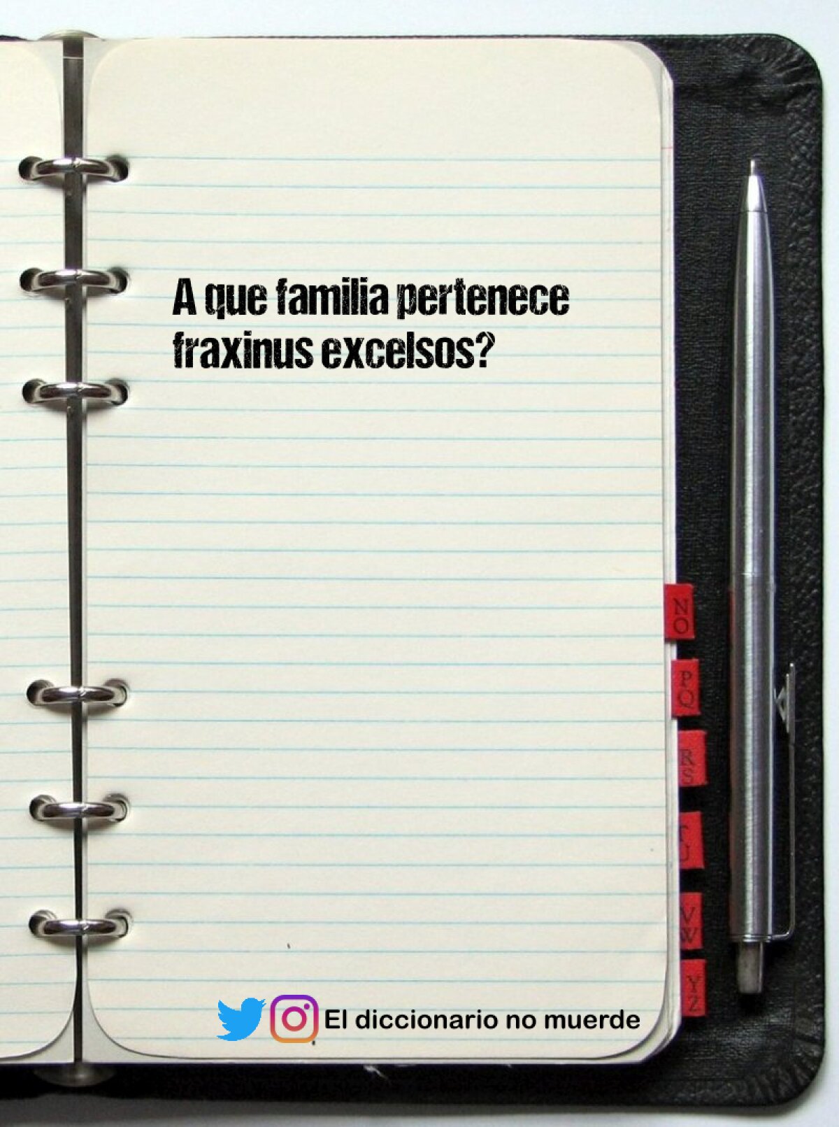 Defina conjunto y periodo