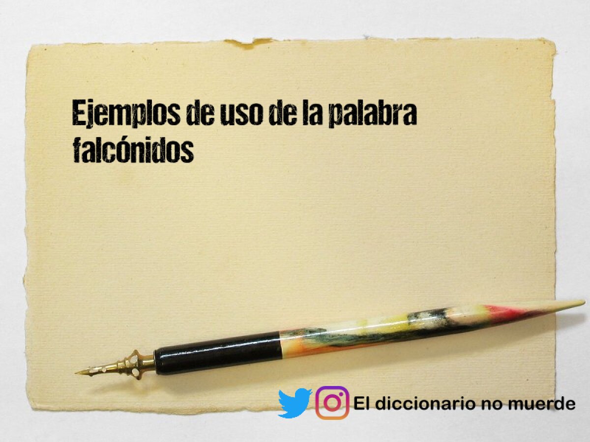 ¿Qué factores influyen para que los diferentes idiomas evolucionen?